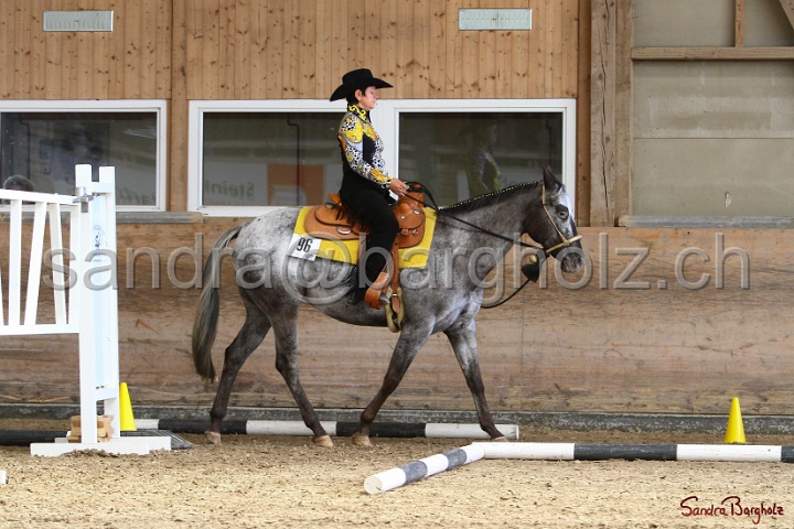 26-ApHC GT_238.jpg
